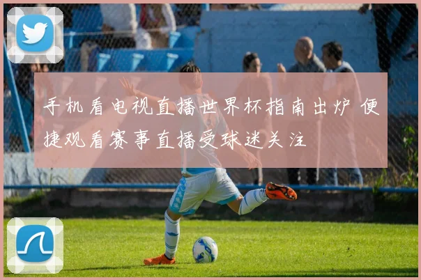 手机看电视直播世界杯指南出炉 便捷观看赛事直播受球迷关注