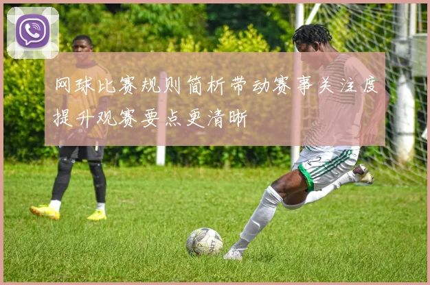 网球比赛规则简析带动赛事关注度提升观赛要点更清晰