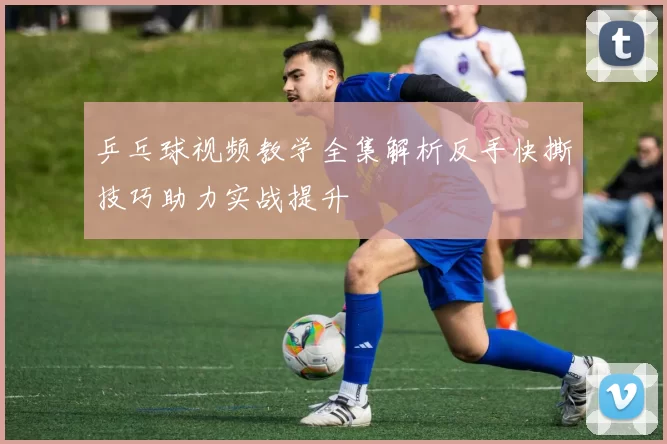 乒乓球视频教学全集解析反手快撕技巧助力实战提升